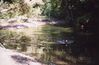 chiraag_swimming_in_lake_australia_2.jpg